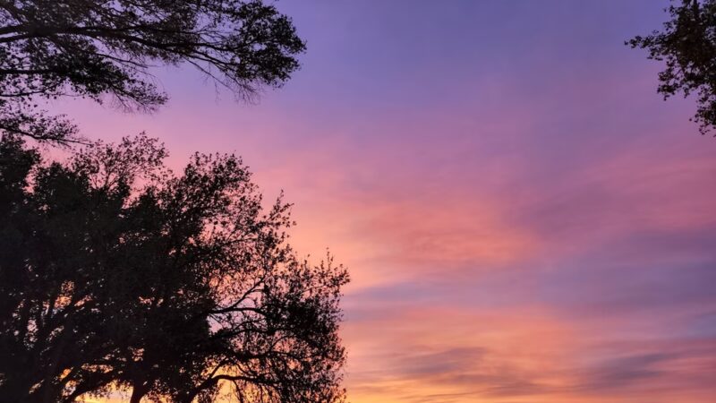 Skull Valley Park - Skull Valley, AZ