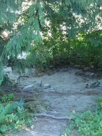 Skykomish Ballpark - Skykomish, WA