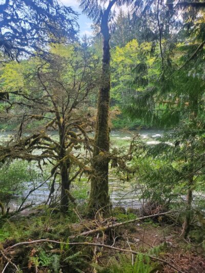 Skykomish Ballpark - Skykomish, WA