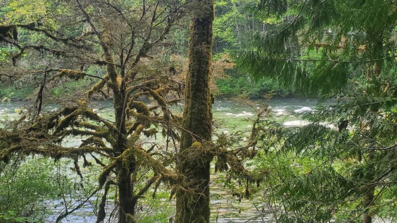 Skykomish Ballpark - Skykomish, WA