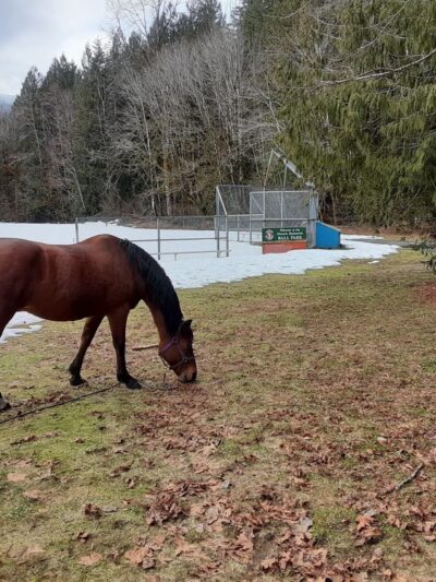 Skykomish Ballpark - Skykomish, WA