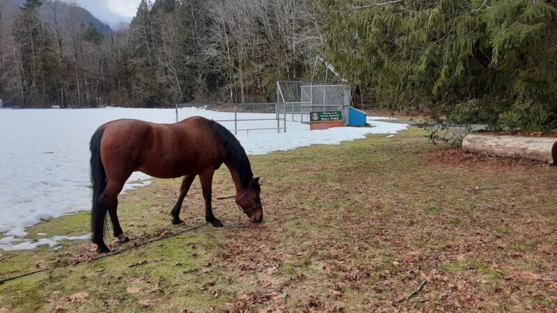 Skykomish Ballpark - Skykomish, WA