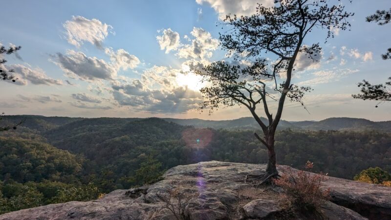 Natural Bridge Trailhead Parking - Slade, KY