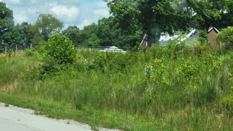 Natural Bridge Trailhead Parking - Slade, KY