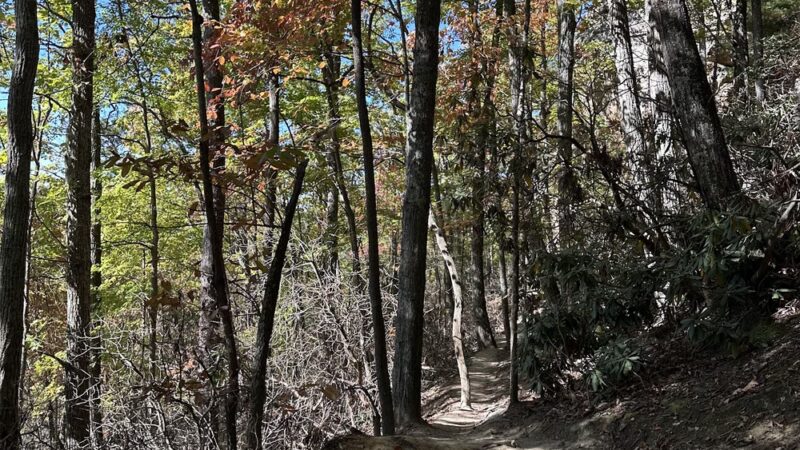 Red River Gorge - Slade, KY