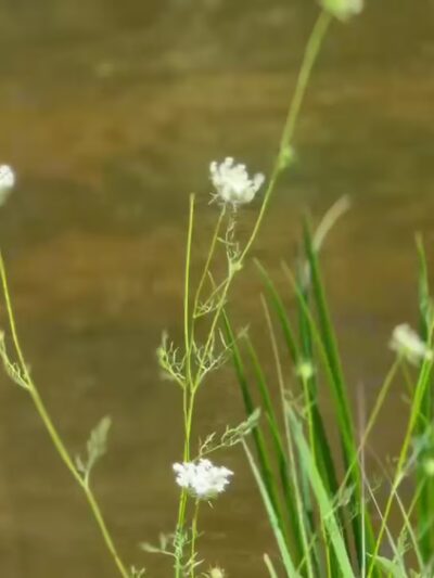 D&L Trailhead (Slatington) - Slatington, PA