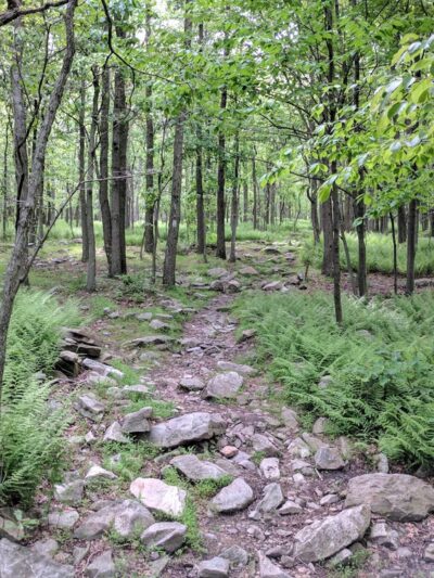 Woodpecker Trailhead - Slatington, PA