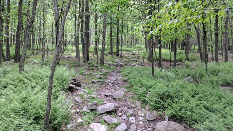 Woodpecker Trailhead - Slatington, PA