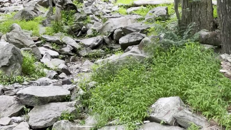 Woodpecker Trailhead - Slatington, PA