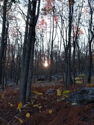 Woodpecker Trailhead - Slatington, PA