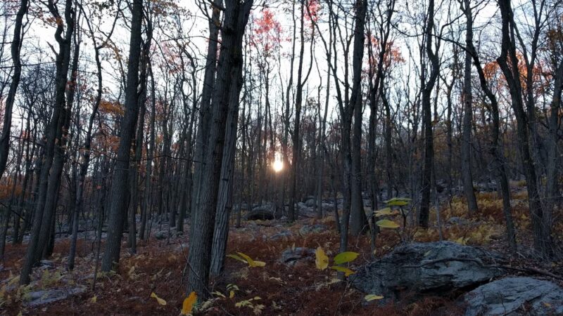 Woodpecker Trailhead - Slatington, PA