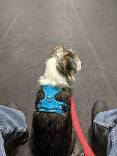 Central Bark Slinger - Slinger, WI