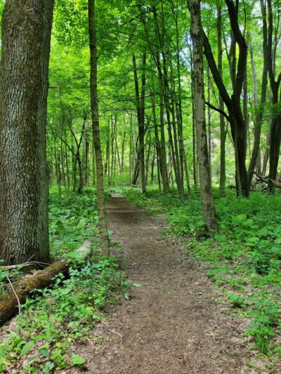 Miller Woods Nature Preserve - Slippery Rock, PA