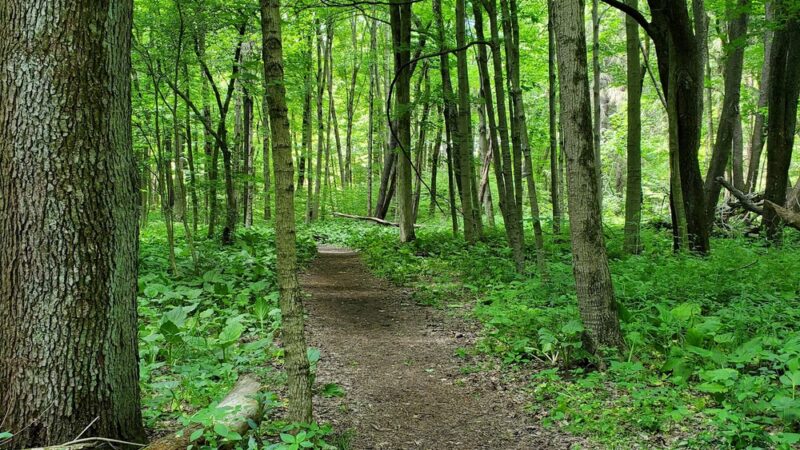 Miller Woods Nature Preserve - Slippery Rock, PA