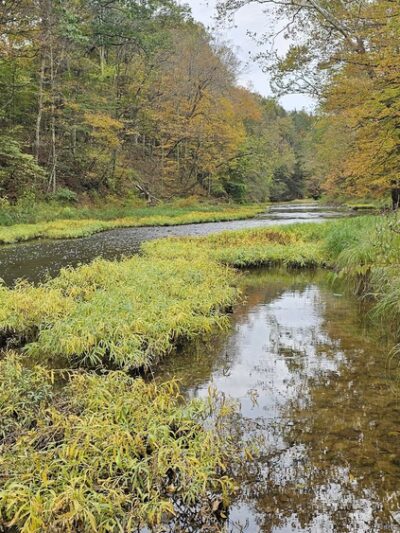 Miller Woods Nature Preserve - Slippery Rock, PA
