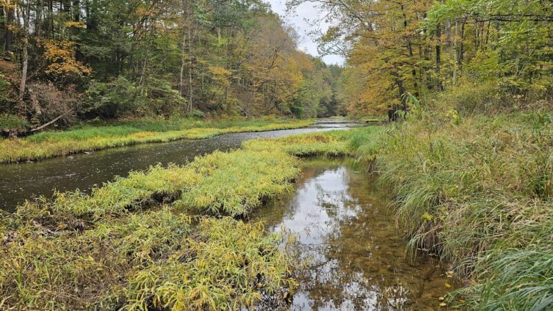 Miller Woods Nature Preserve - Slippery Rock, PA