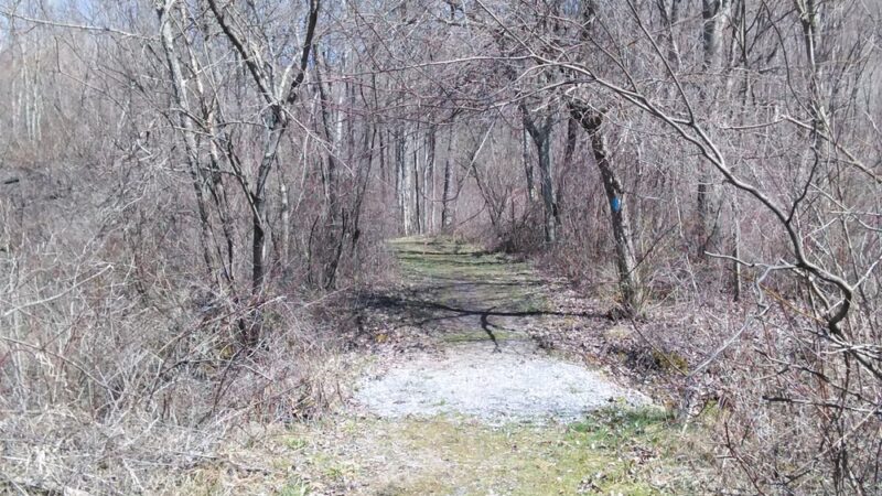 Moraine State Park Snowmobile Trail - Slippery Rock, PA
