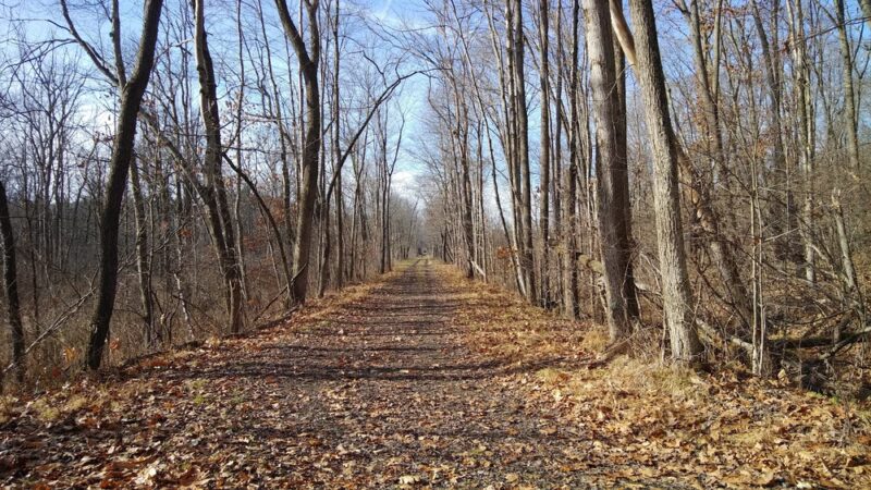 Multi Use Trail - Slippery Rock, PA