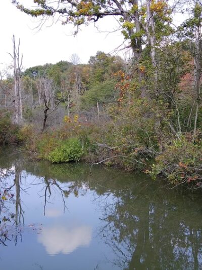 Multi Use Trail - Slippery Rock, PA