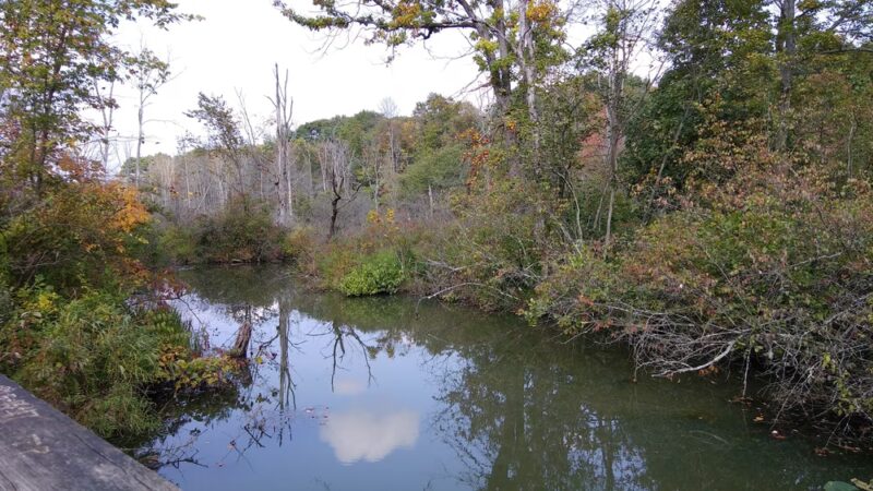 Multi Use Trail - Slippery Rock, PA