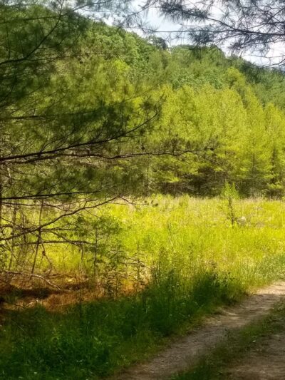 Multi Use Trail - Slippery Rock, PA