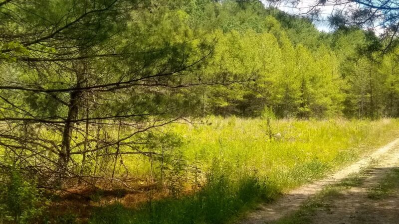 Multi Use Trail - Slippery Rock, PA