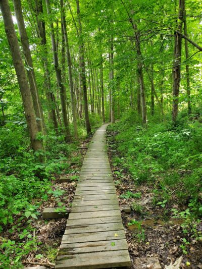 North Country Trail 528 Trailhead - Slippery Rock, PA