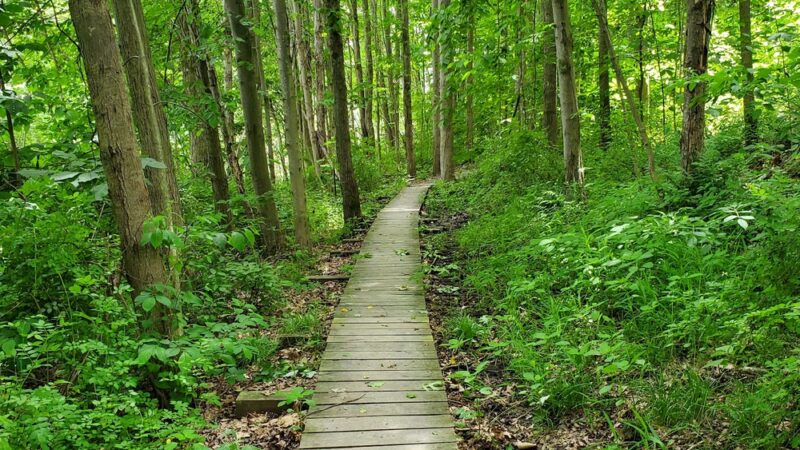 North Country Trail 528 Trailhead - Slippery Rock, PA