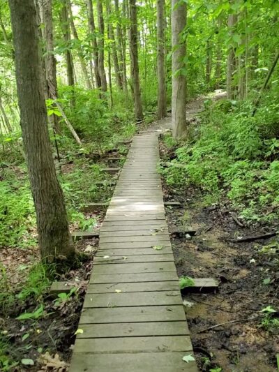 North Country Trail 528 Trailhead - Slippery Rock, PA