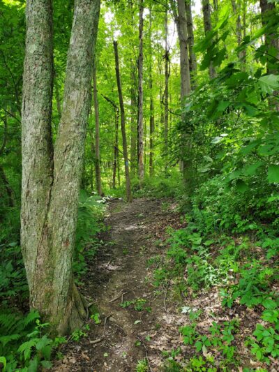 North Country Trail 528 Trailhead - Slippery Rock, PA