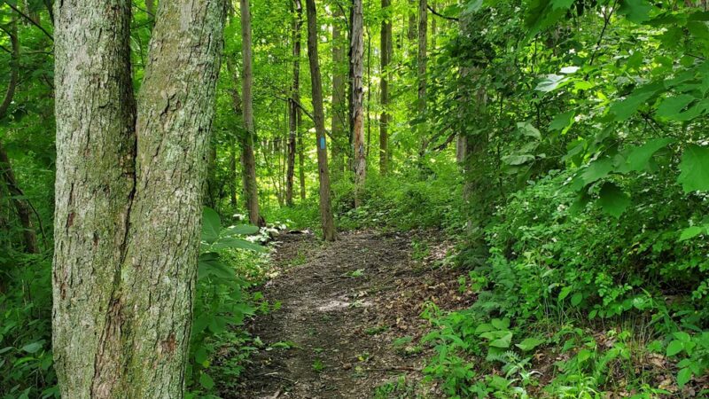 North Country Trail 528 Trailhead - Slippery Rock, PA