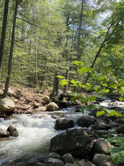 Harriman State Park - Sloatsburg, NY