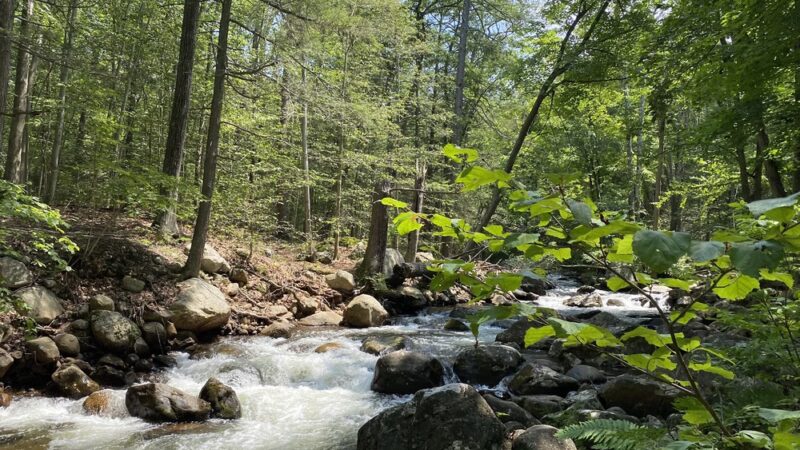Harriman State Park - Sloatsburg, NY