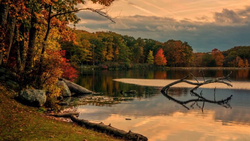 Harriman State Park - Sloatsburg, NY