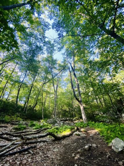 Harriman State Park - Sloatsburg, NY