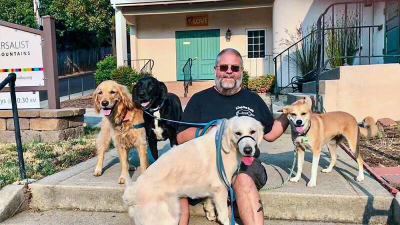 A Dog's Best Buddy Pet Sitting - Smartsville, CA