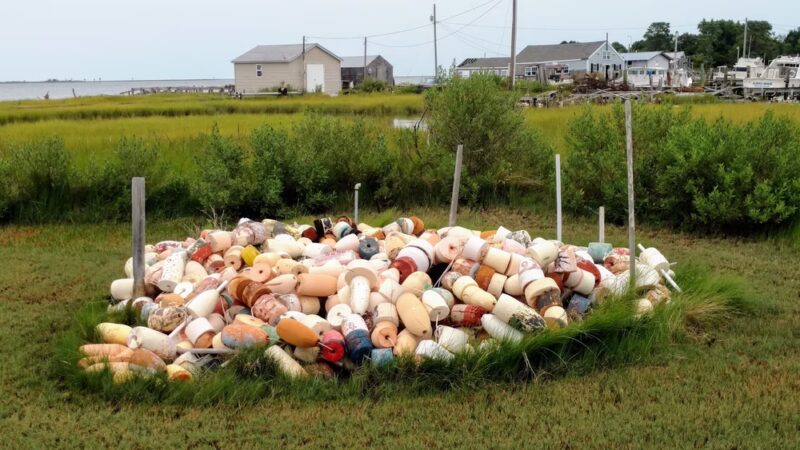 Ewell - Smith Island, MD