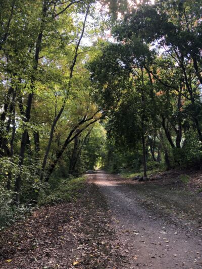 Esmond Park Conservation Area - Smithfield, RI