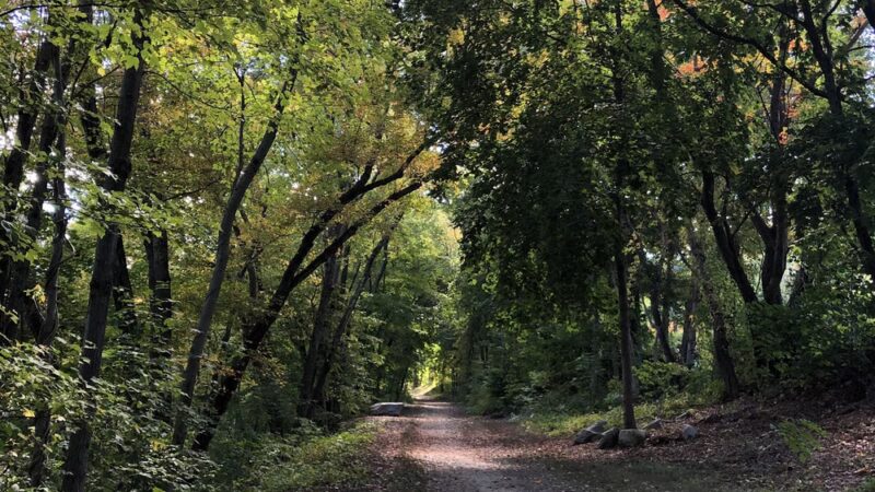 Esmond Park Conservation Area - Smithfield, RI