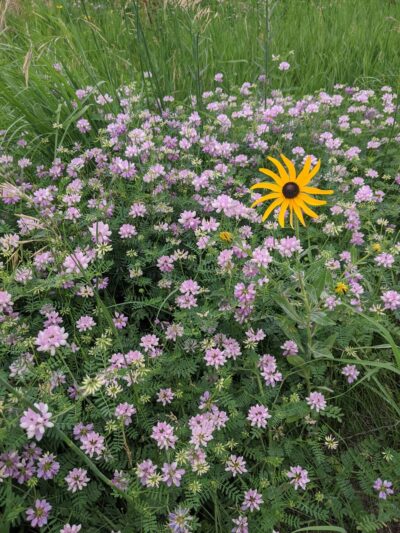 Southwood Conservation Area - Smithland, IA
