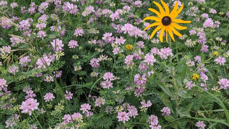 Southwood Conservation Area - Smithland, IA