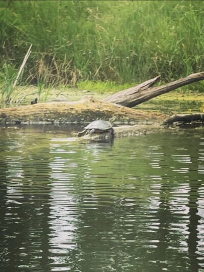 Southwood Conservation Area - Smithland, IA