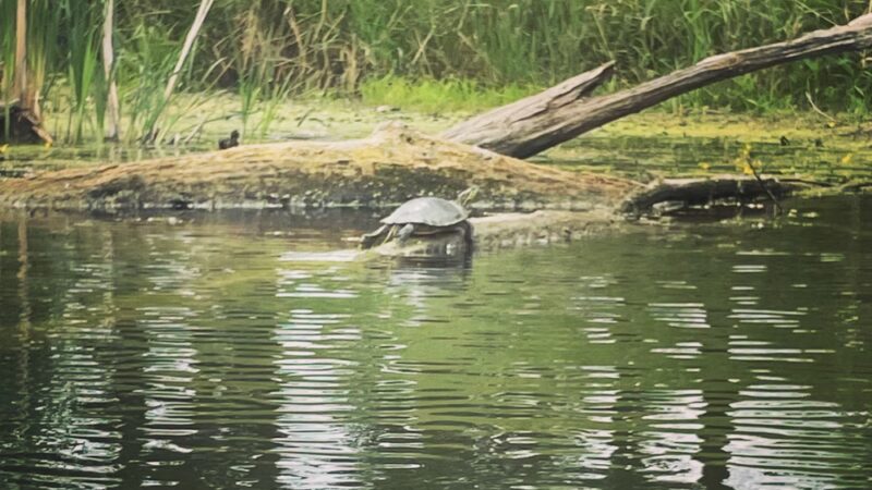 Southwood Conservation Area - Smithland, IA