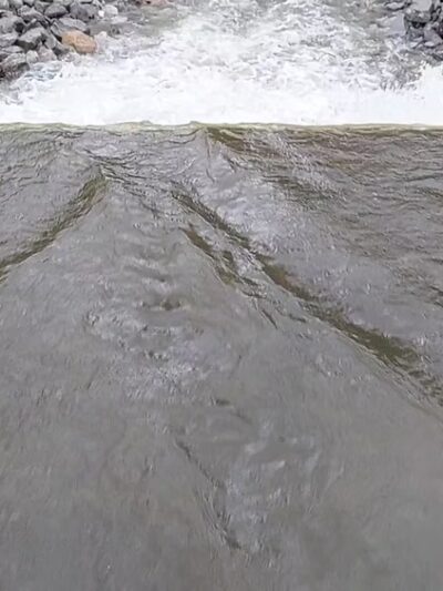 Smithton Park Pond - Smithton, IL