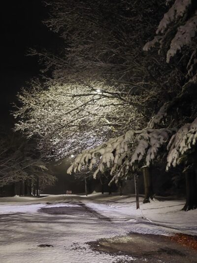 Smithton Park Pond - Smithton, IL