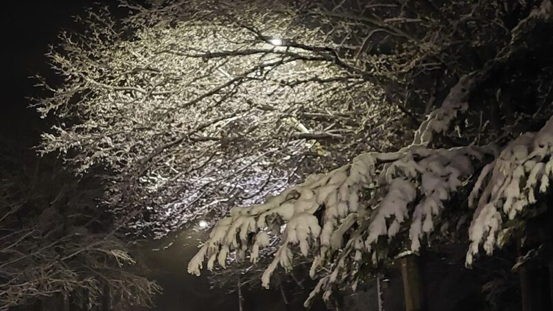 Smithton Park Pond - Smithton, IL
