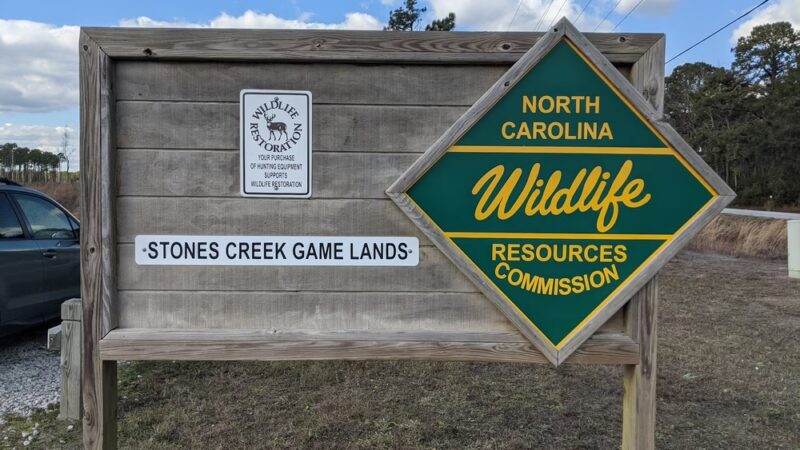 Stones Creek Game Lands - Sneads Ferry, NC