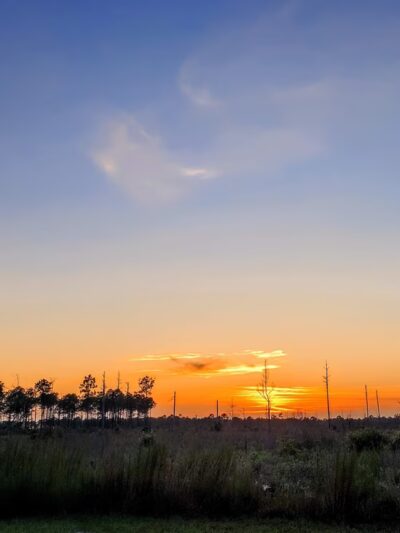 Stones Creek Game Lands - Sneads Ferry, NC
