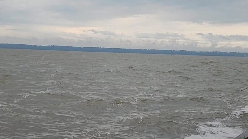 Sneads Park - Sneads, FL