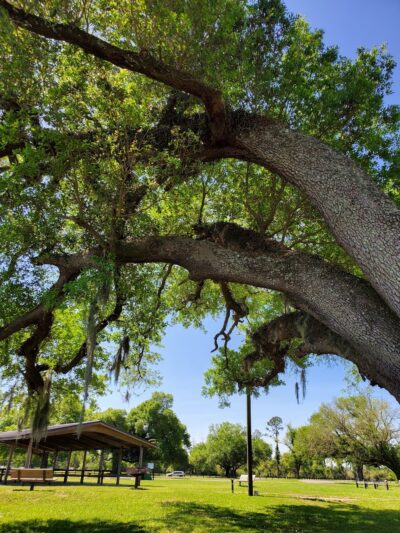 Sneads Park - Sneads, FL